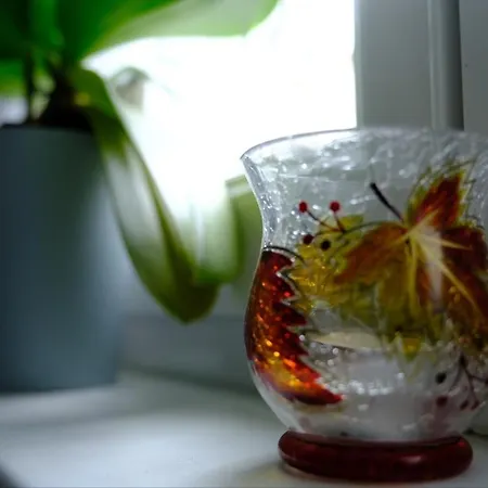 招待所 Euromamhaus - Korean