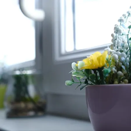 Euromamhaus - Korean Frankfurt am Main