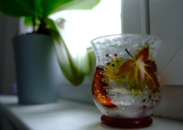 Pensión Euromamhaus - Korean