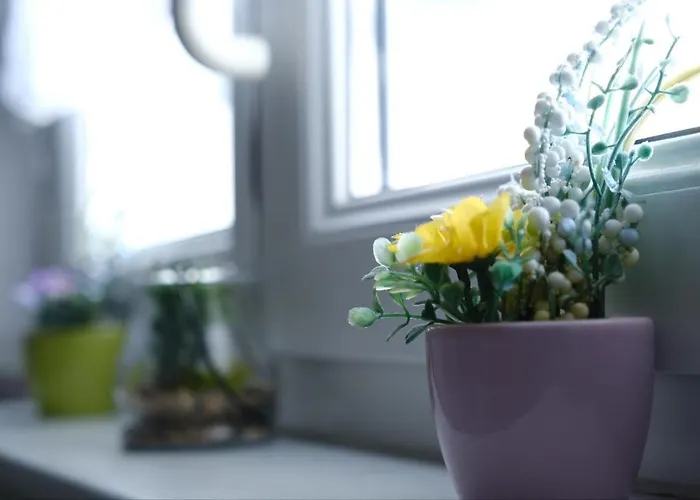 Euromamhaus - Korean Fráncfort del Meno